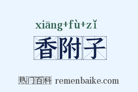 香附子是什么意思的图片